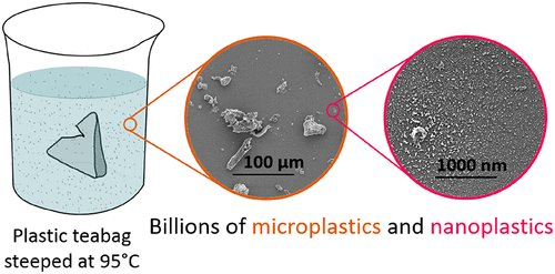 robertlufkinmd's tweet photo. Plastic Teabags Release Billions of Microparticles and Nanoparticles into Tea

https://t.co/eI8GZs0IO7 https://t.co/nS6Tv6pCir