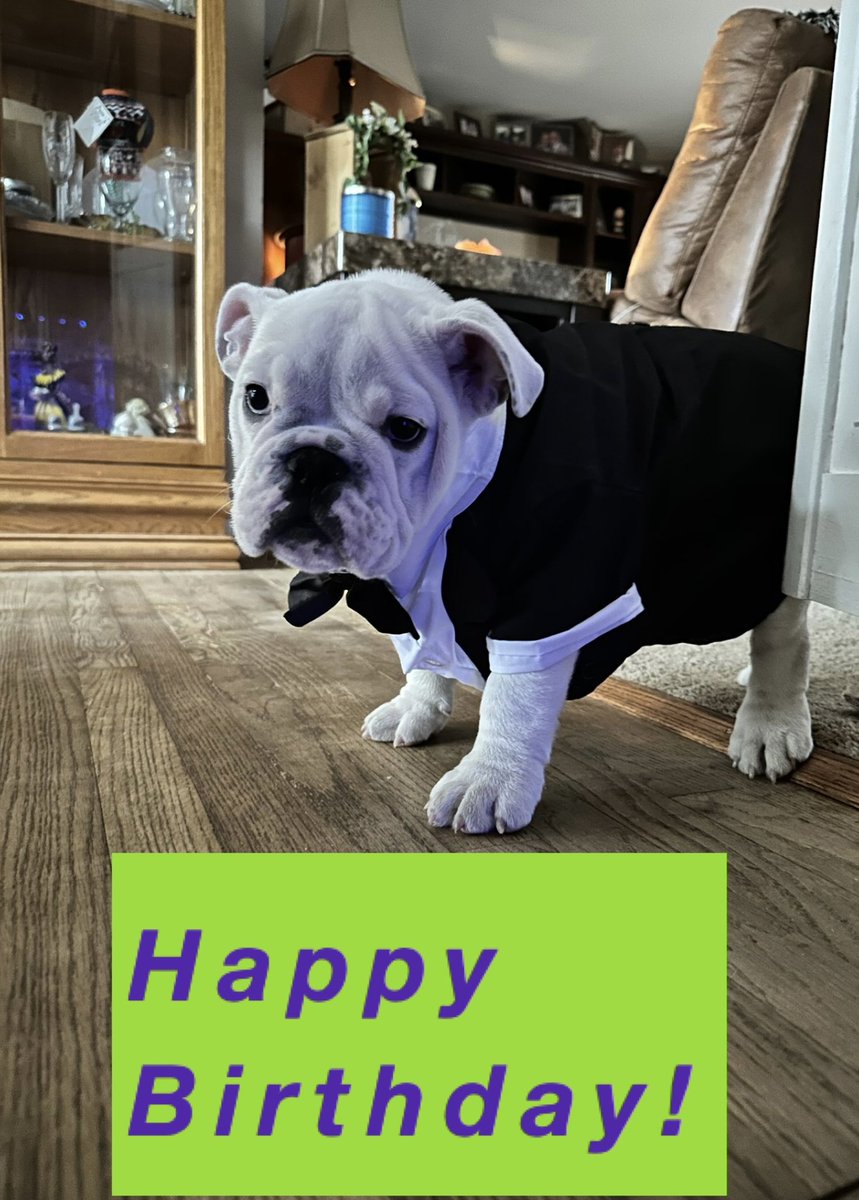 Colts Caveman tweet media