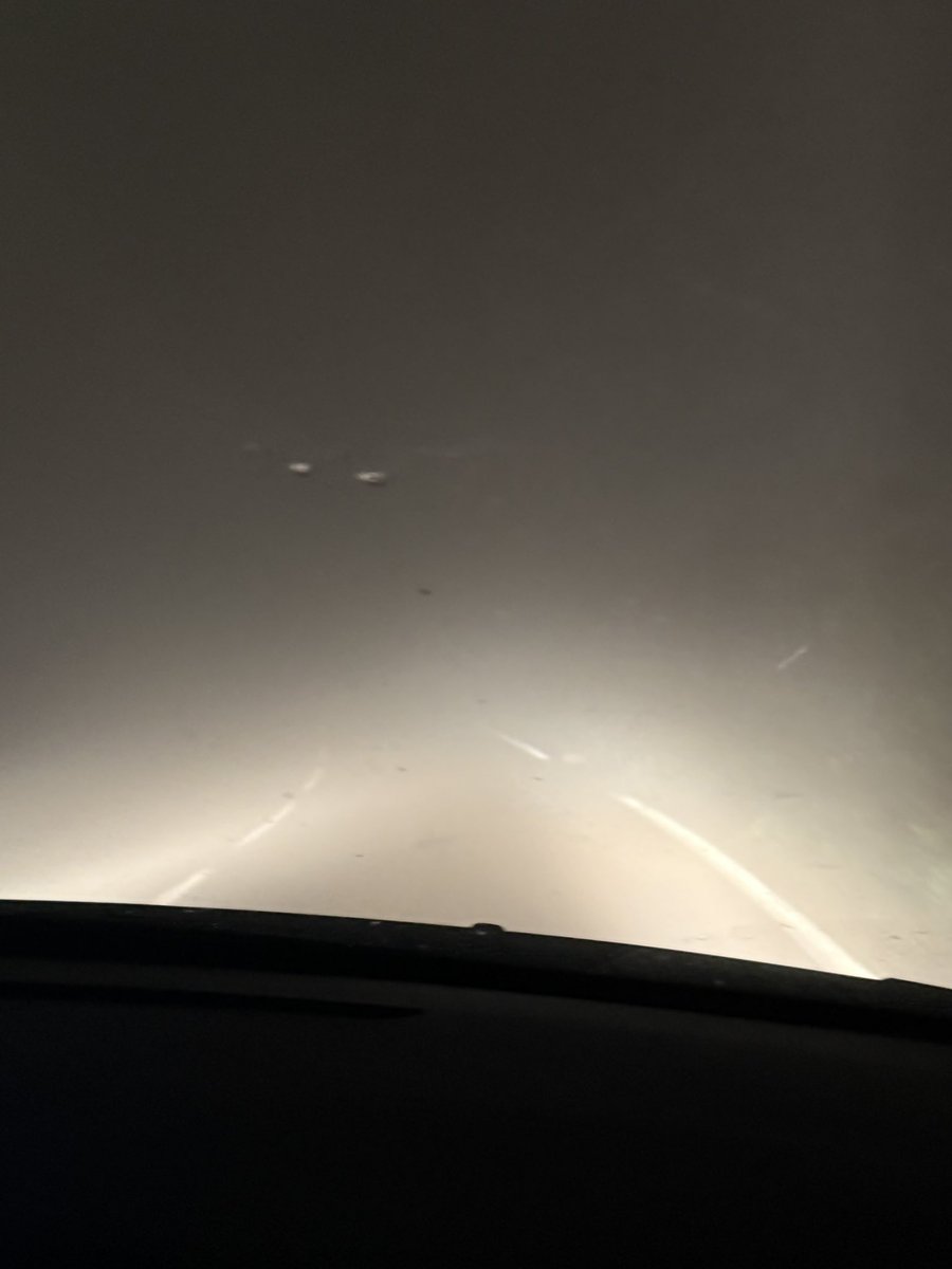 Mamankoala 🐨 tweet media