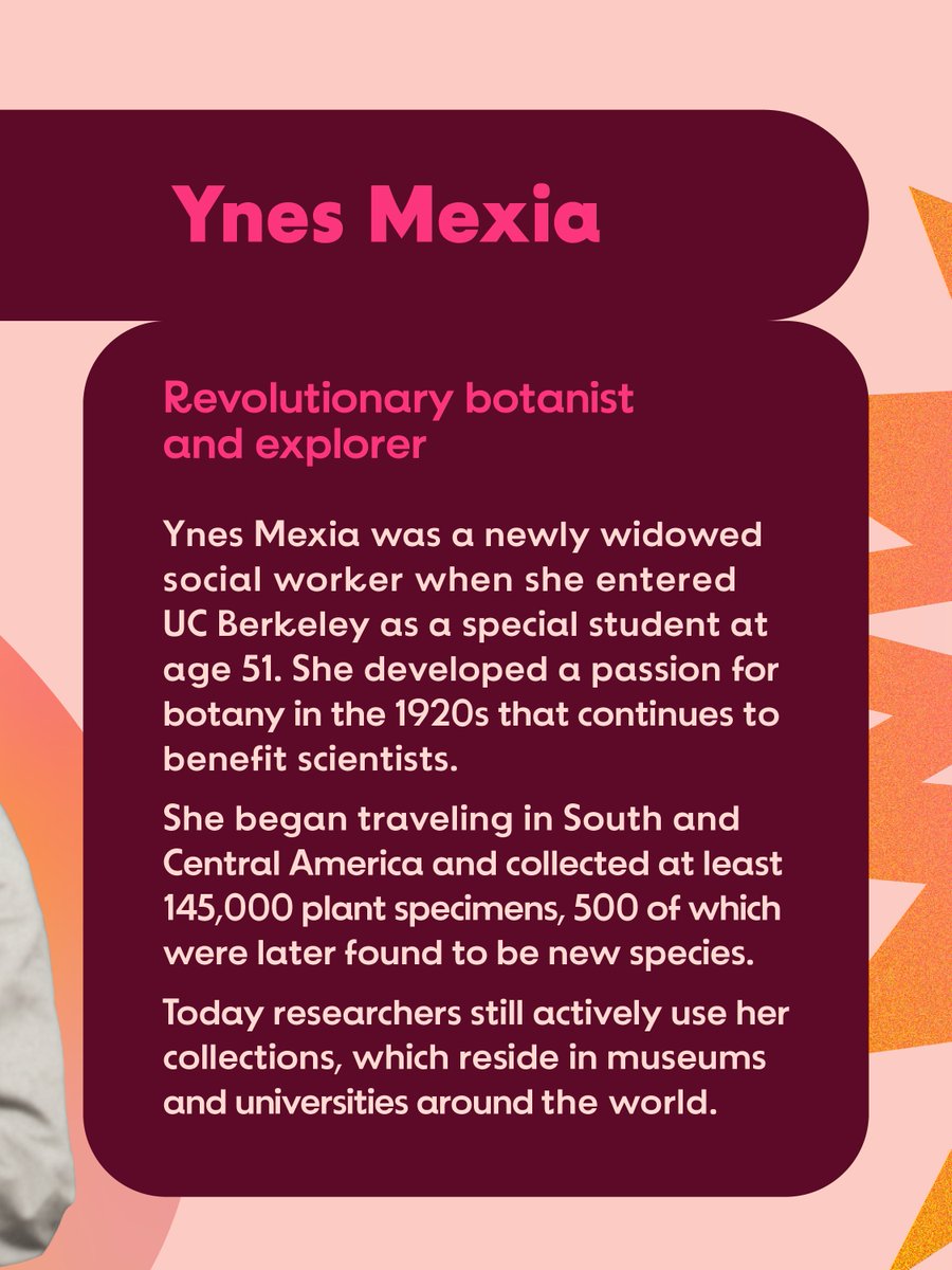 California Museum tweet media