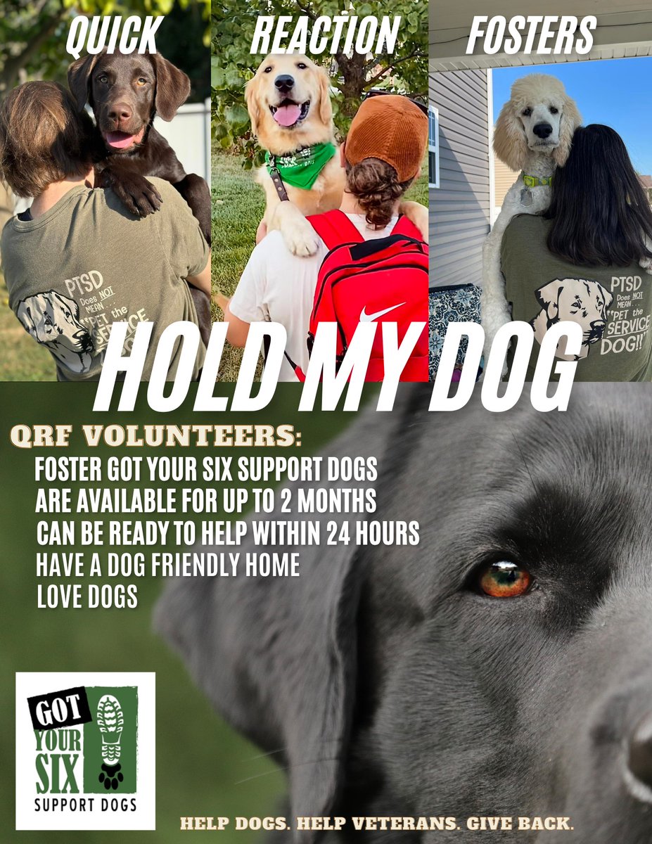 Got Your Six Dogs tweet media