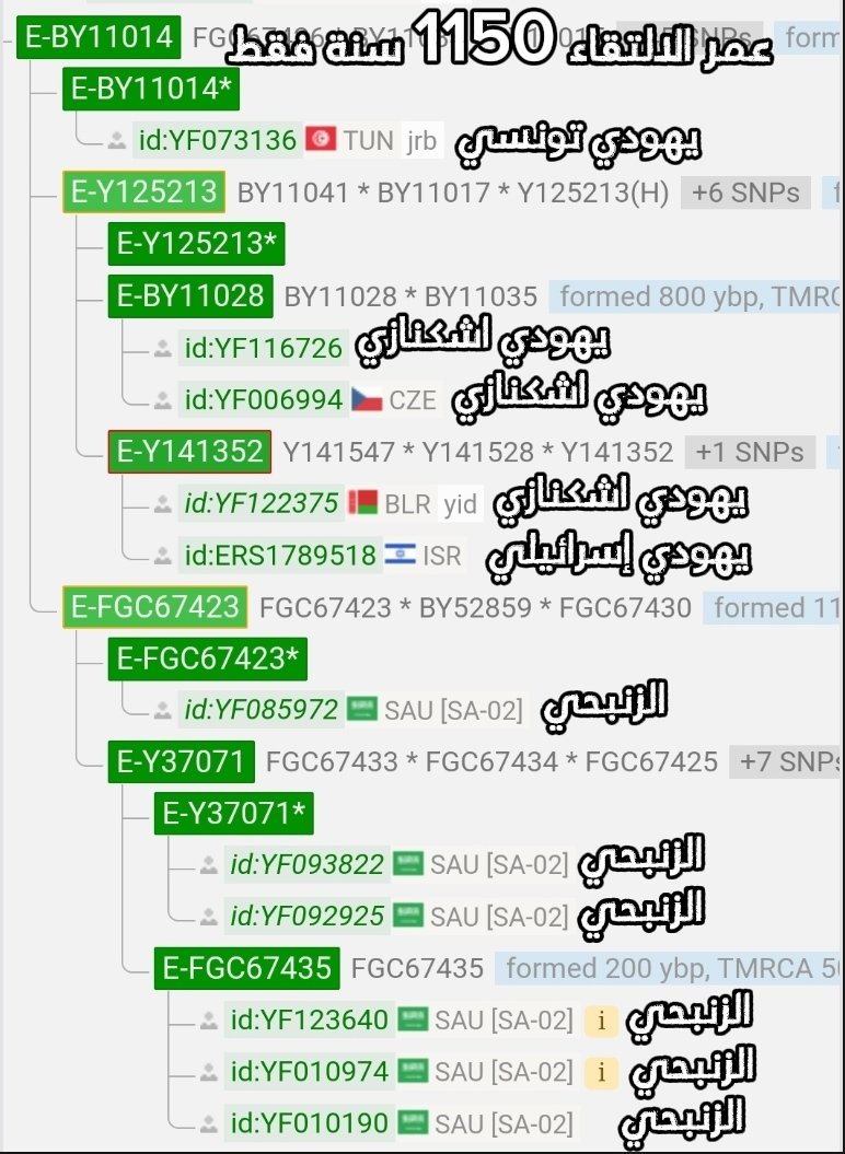 SultanB515265's tweet photo. يوم عجزت ترد بالعلم والمنطق قمت تحوص وتلوص؟ الغجري  من  يحاول يلزق نفسه في قبائل العرب وبينه وبينهم بحور من التكتلات  الأعجمية ، جيناتك ��لأشكنازية الوضيعة واضحة وصريحة  في مشجرتك وفي وجهك وفي اسلوبك  الدنيء فخل�� في حدود مواليك واترك العربه لأهلها الثوب اللي مو مقاسك يبهذلك https://t.co/jebojbnOtE
