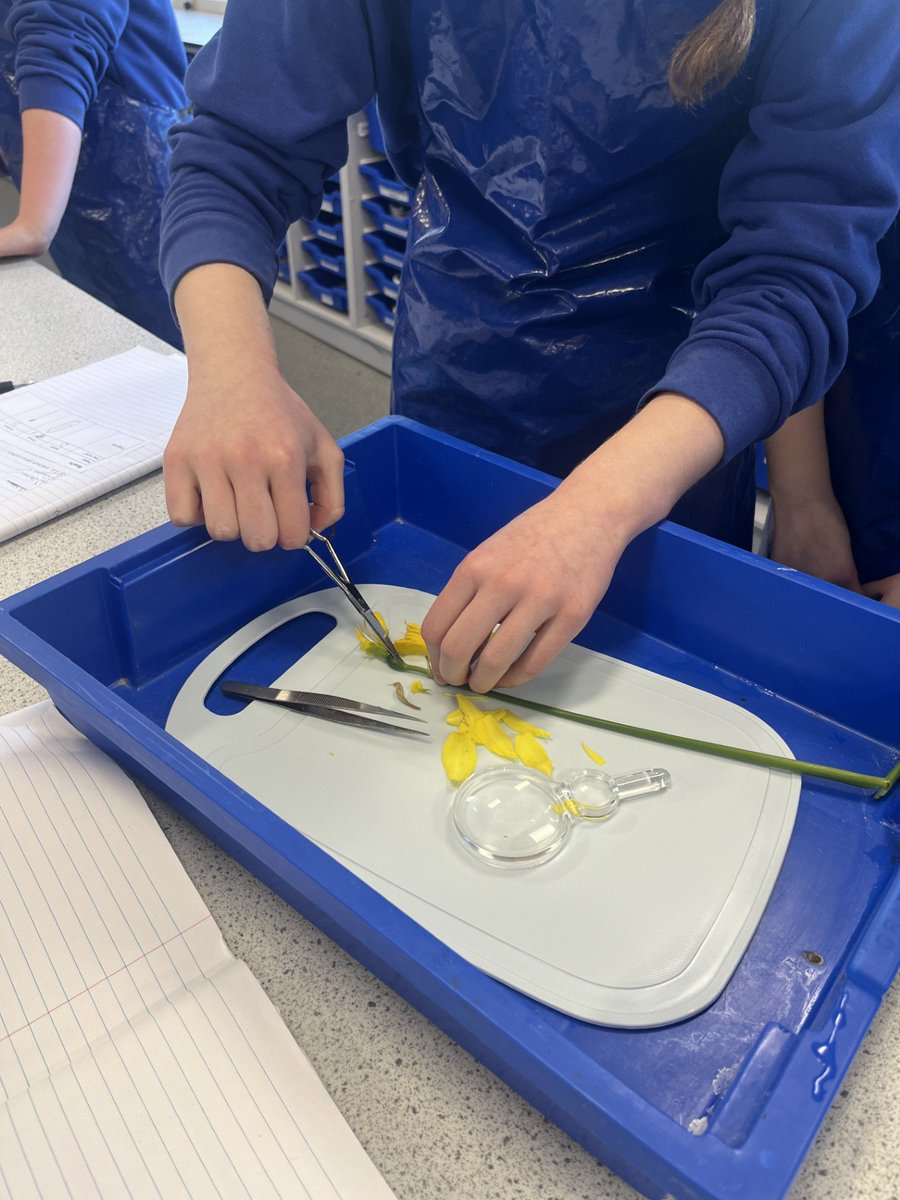 Cranborne Middle School tweet media