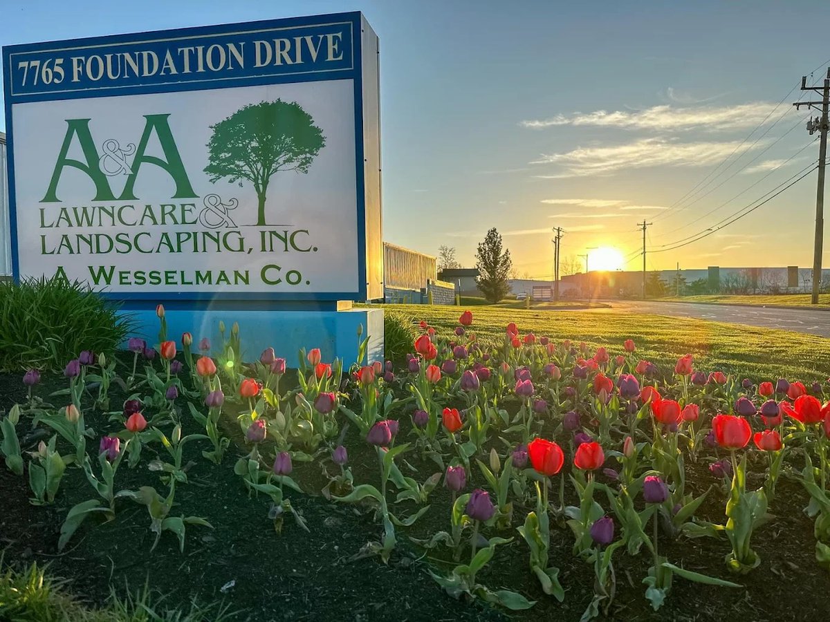 RealGreen by WorkWave tweet media