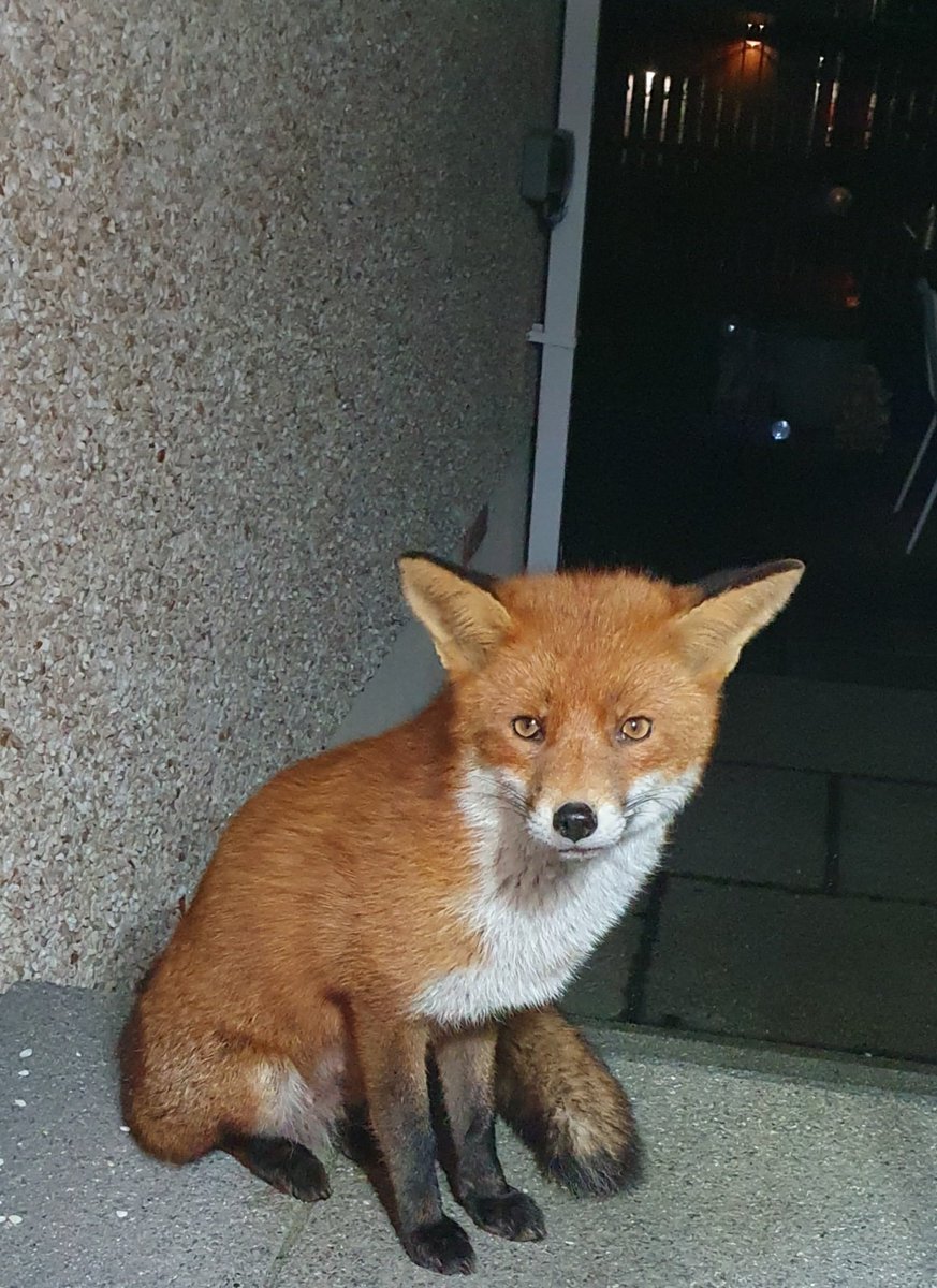 Siobhean 🖤 tweet media