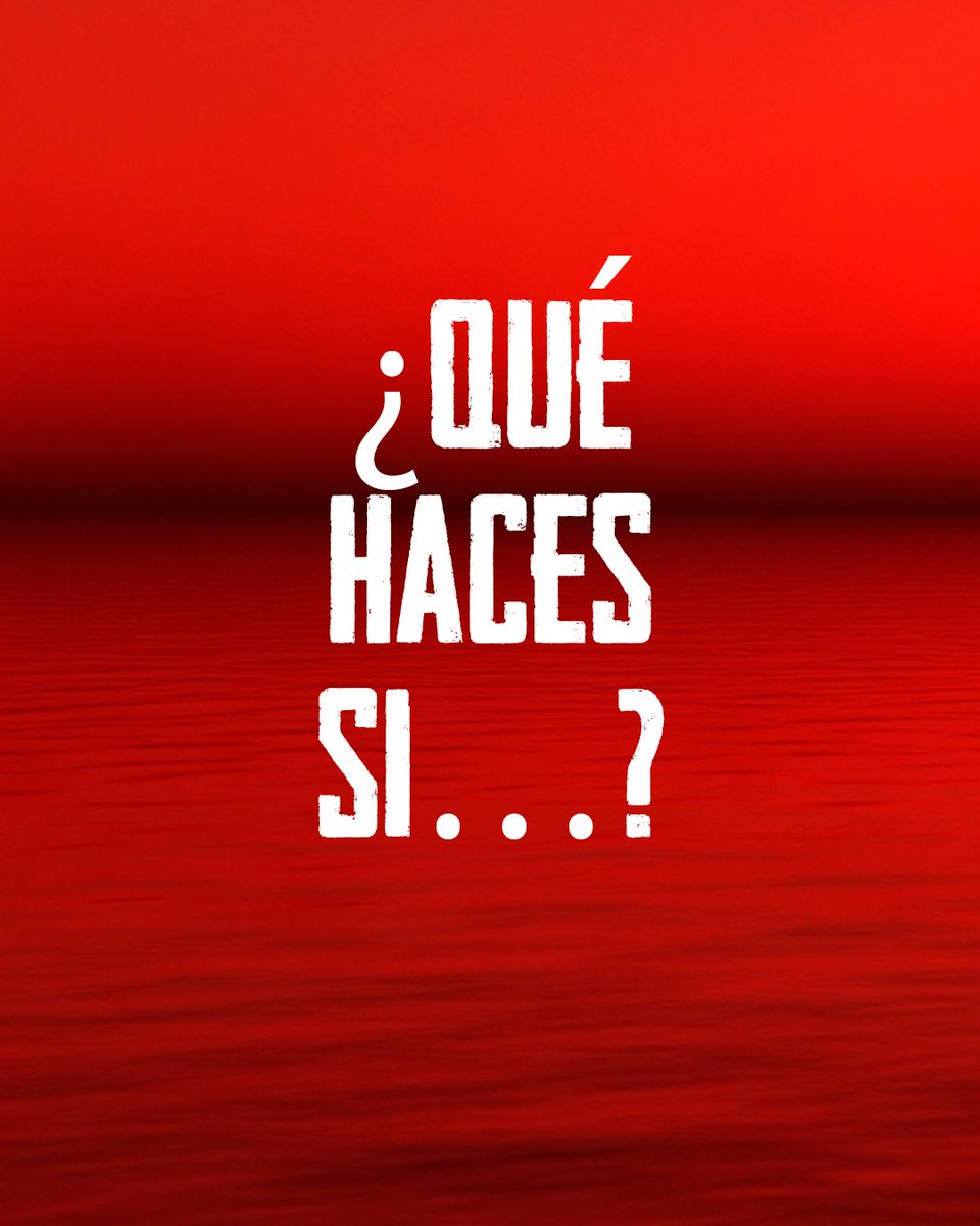 BF Distribution LATAM tweet media