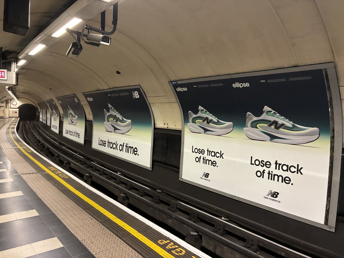 Alex Boothe 🍋 tweet media