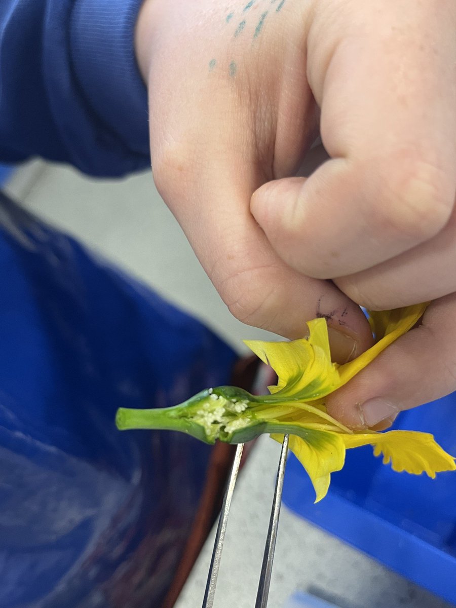 Cranborne Middle School tweet media