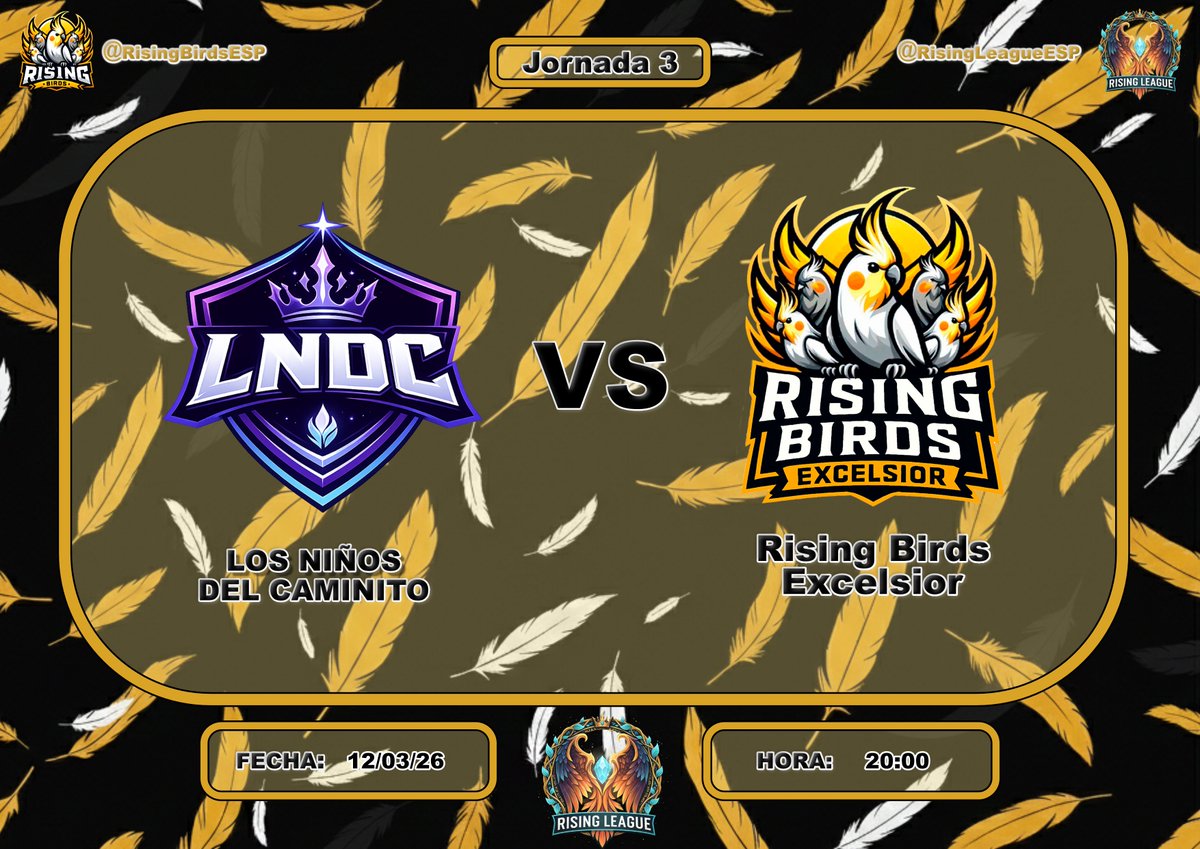 Rising Birds 🐥 tweet media