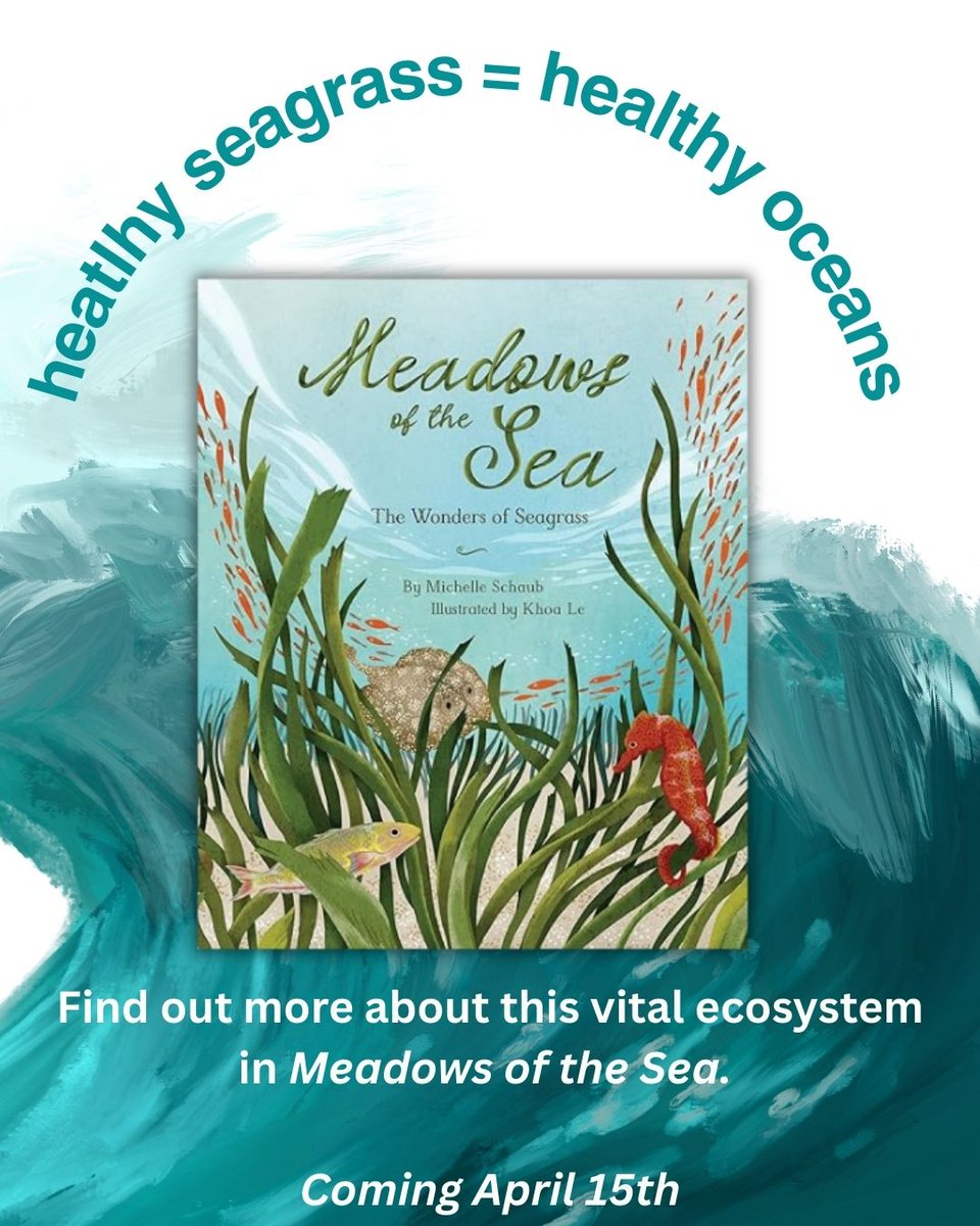 Michelle Schaub tweet media