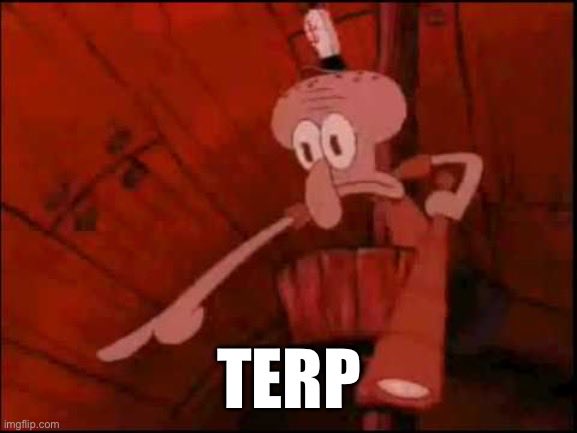 corporate jake 🕴🏼 (@brodskysauce) on Twitter photo 