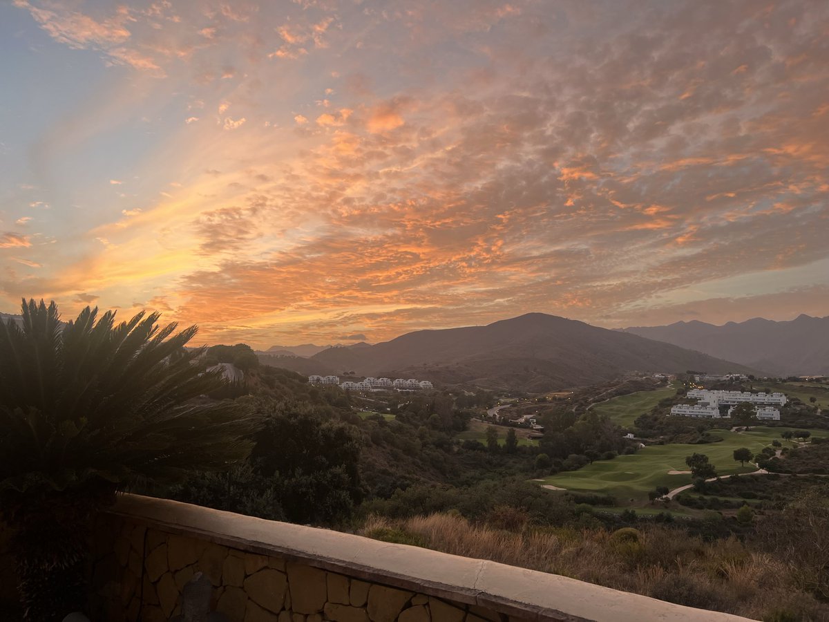 TraderSZ tweet media