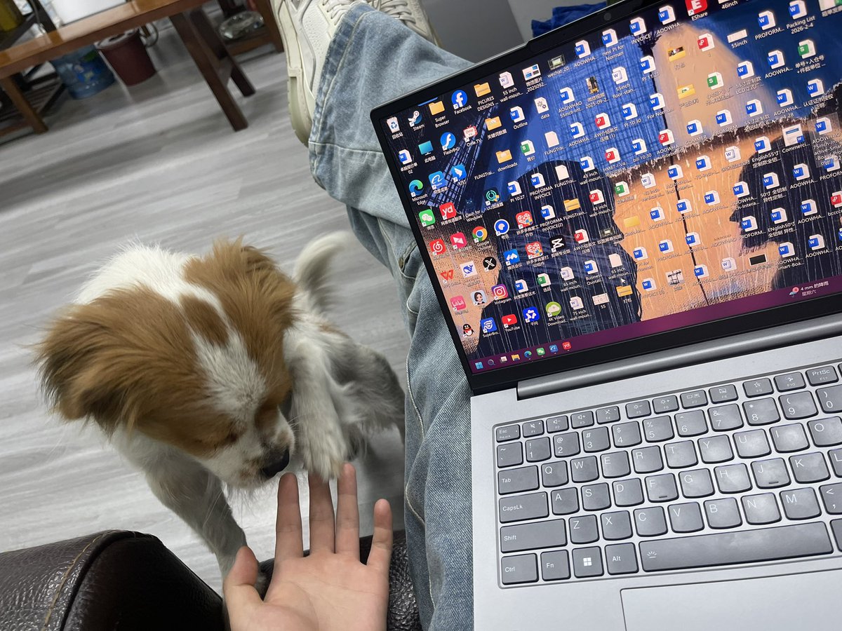 Kurt_Donald_Shu's tweet photo. 上班玩猫玩狗啊嗯 https://t.co/60v5kdwy7r