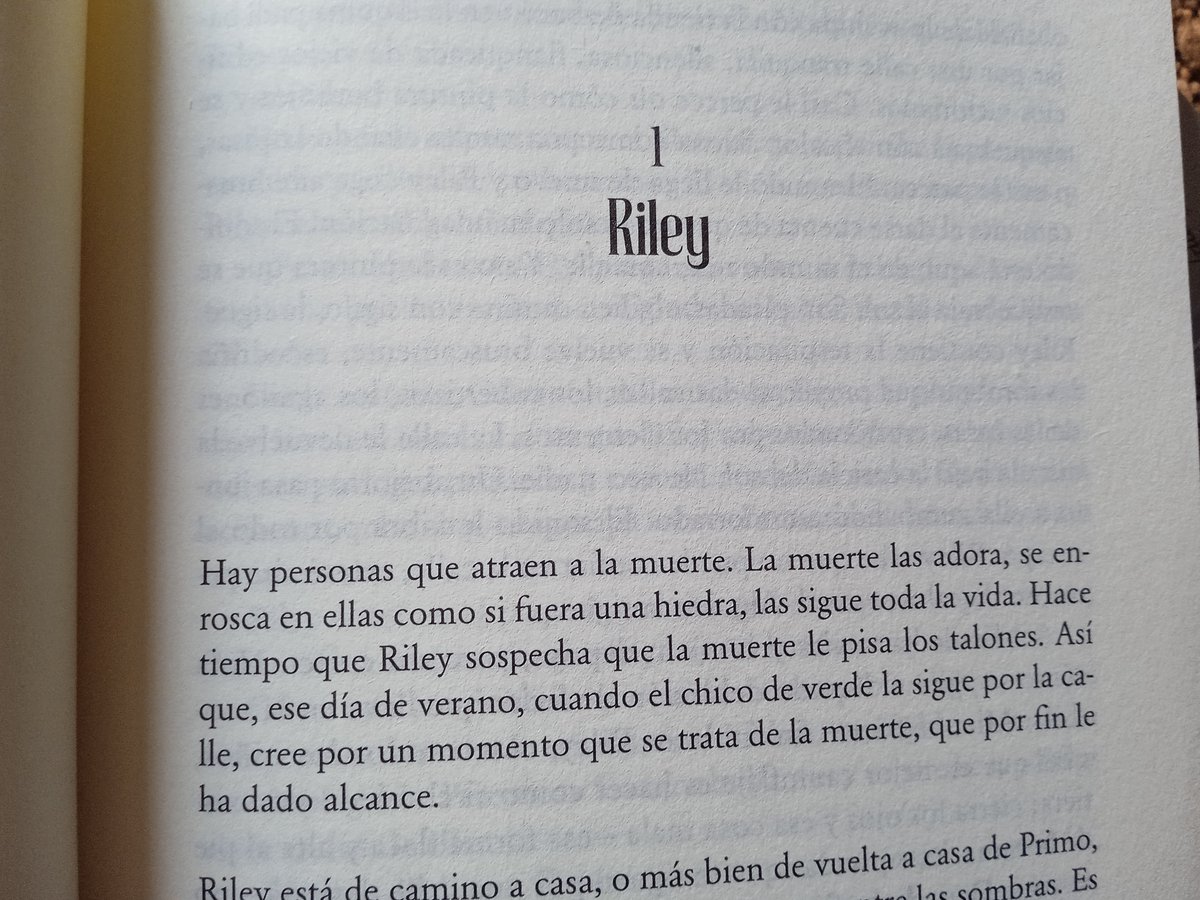 Caballero del Árbol Sonriente Blog tweet media