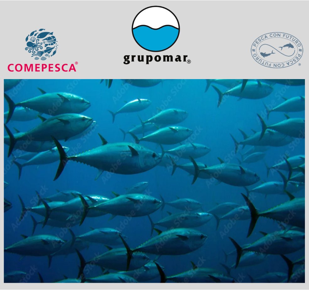 Antonio Guerra tweet media