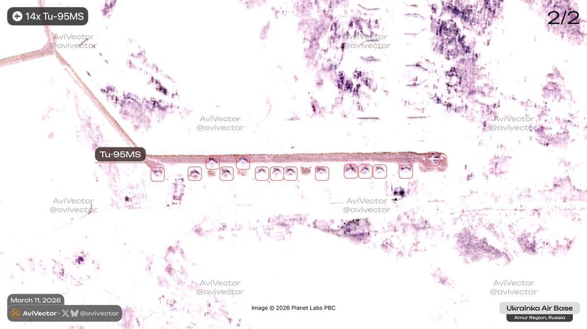 AviVector tweet media