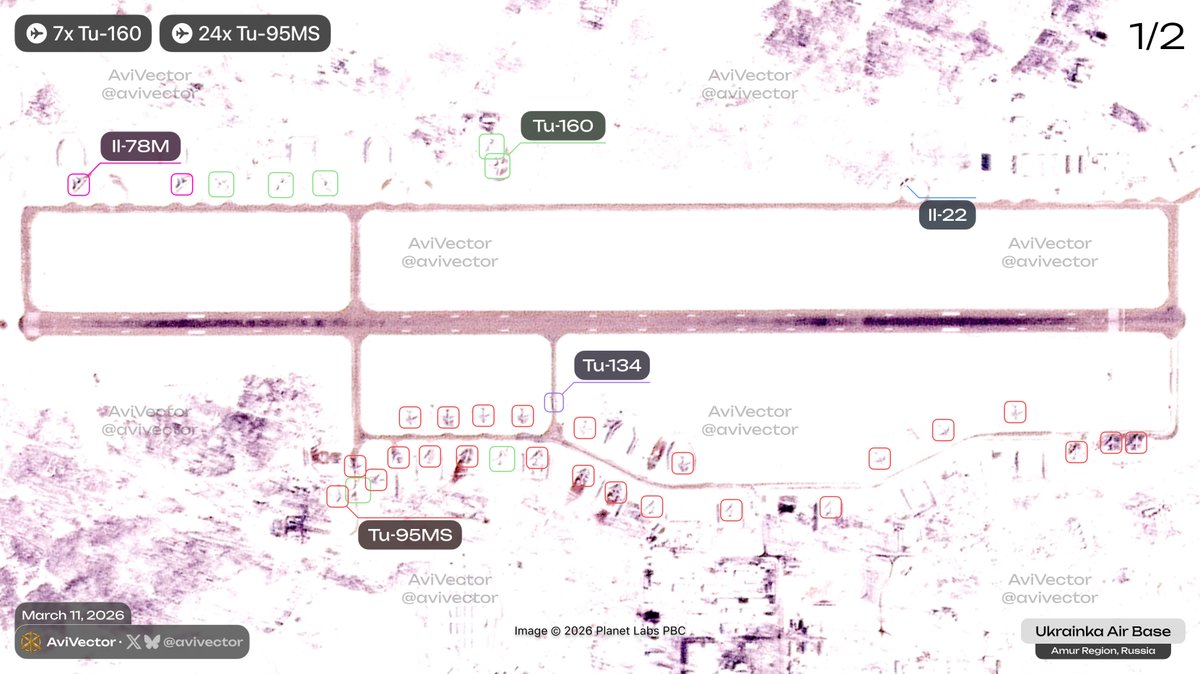 AviVector tweet media