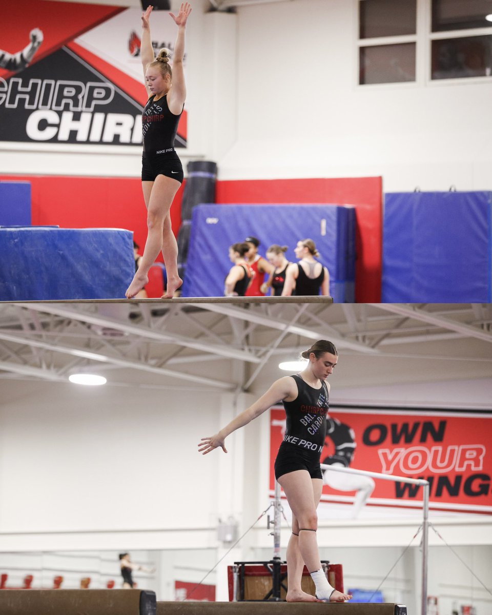 Ball State Gymnastics tweet media