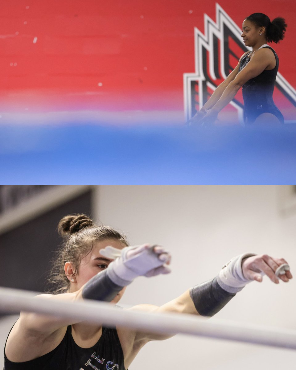 Ball State Gymnastics tweet media