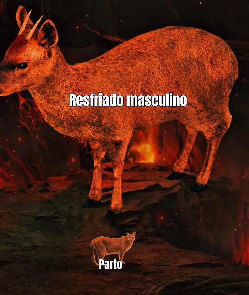 yo qué sé tweet media