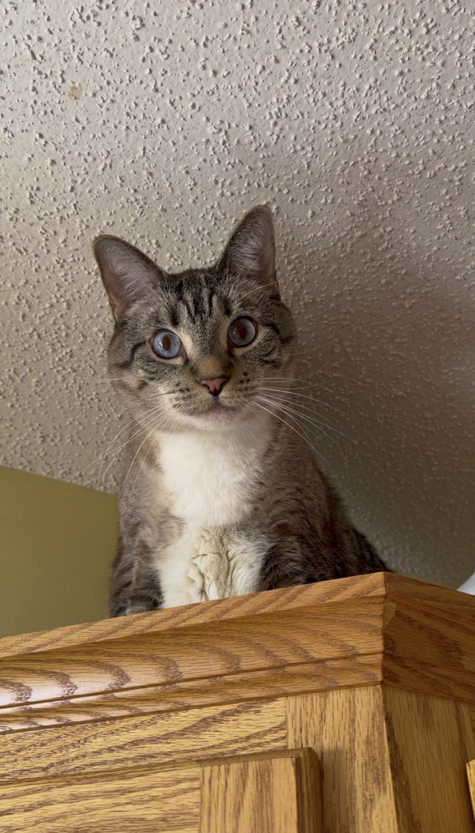 🐛🌷Dean🦋🪴 tweet media