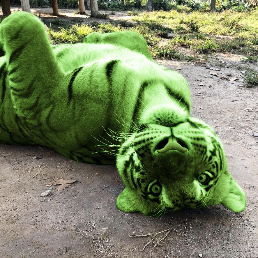 DJ burger 🍔🐯🎵 tweet media