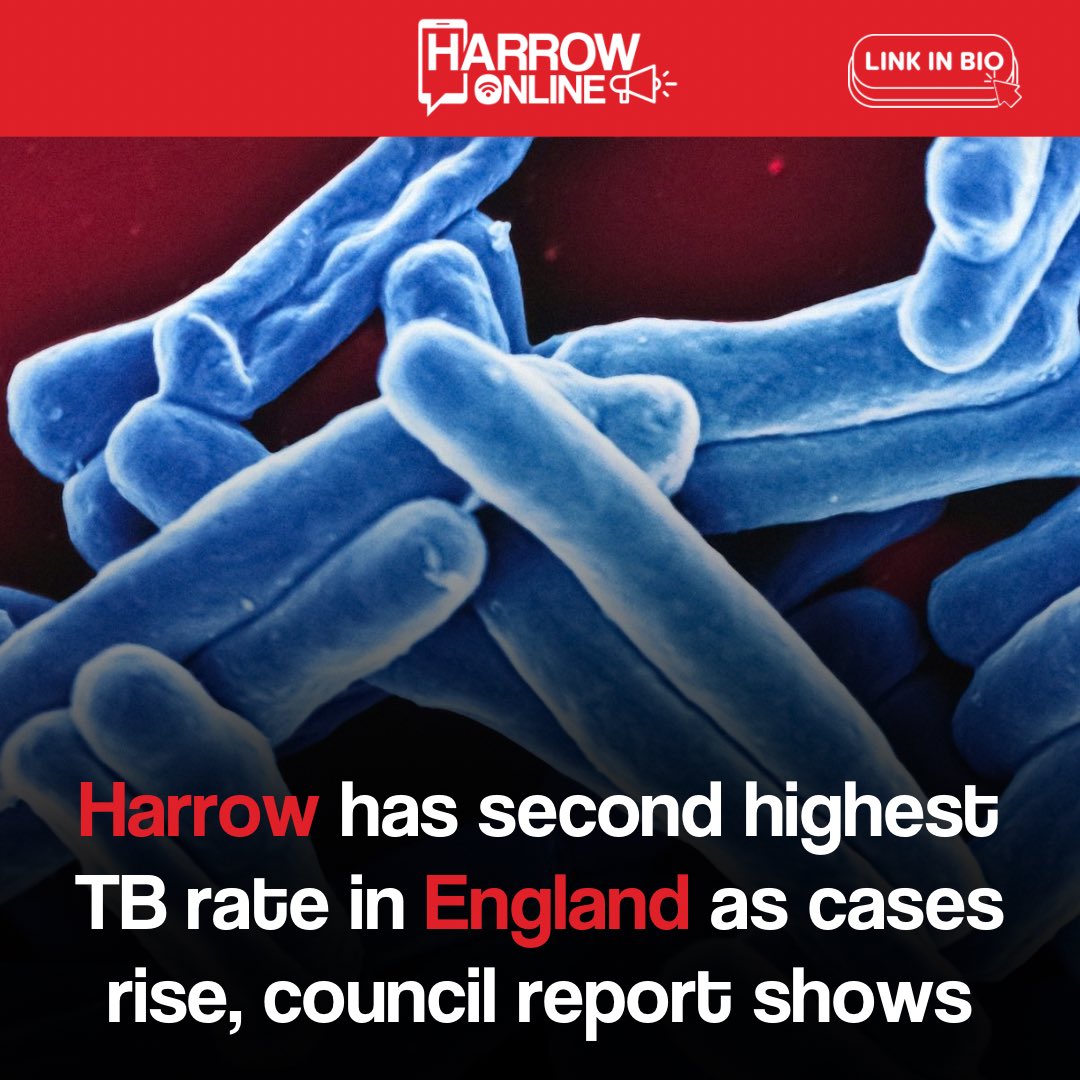 Harrow Online tweet media