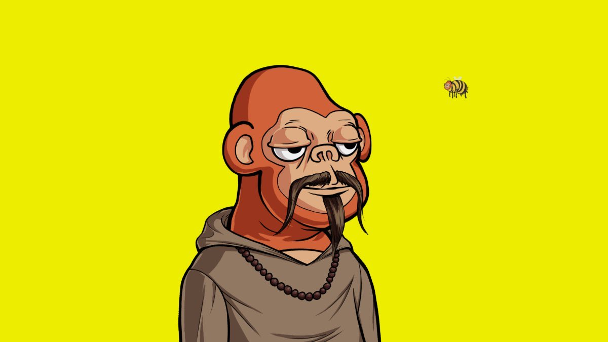 mcalgorand.algo 🐝 tweet media