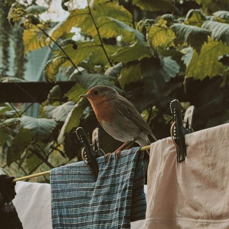 ᅠ ᅠ (@coffeeebreaak) on Twitter photo 