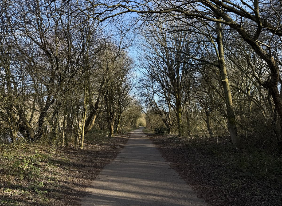 rly cool girl tweet media