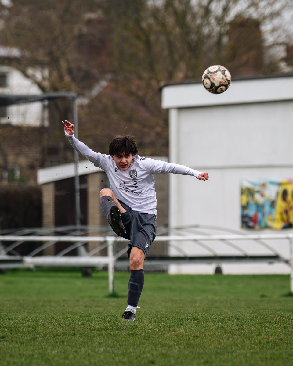 amymarshallcreative tweet media