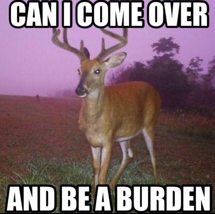 John fawn tweet media