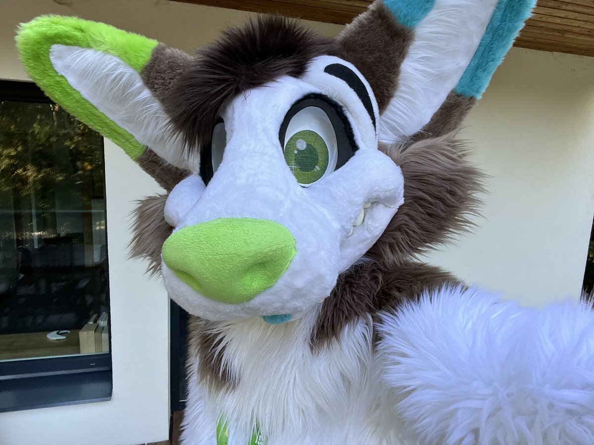 Nowi 💚🩵 tweet media