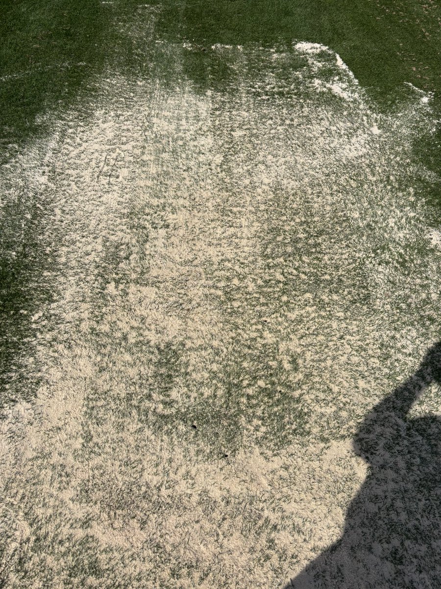 Fleetwood tweet media