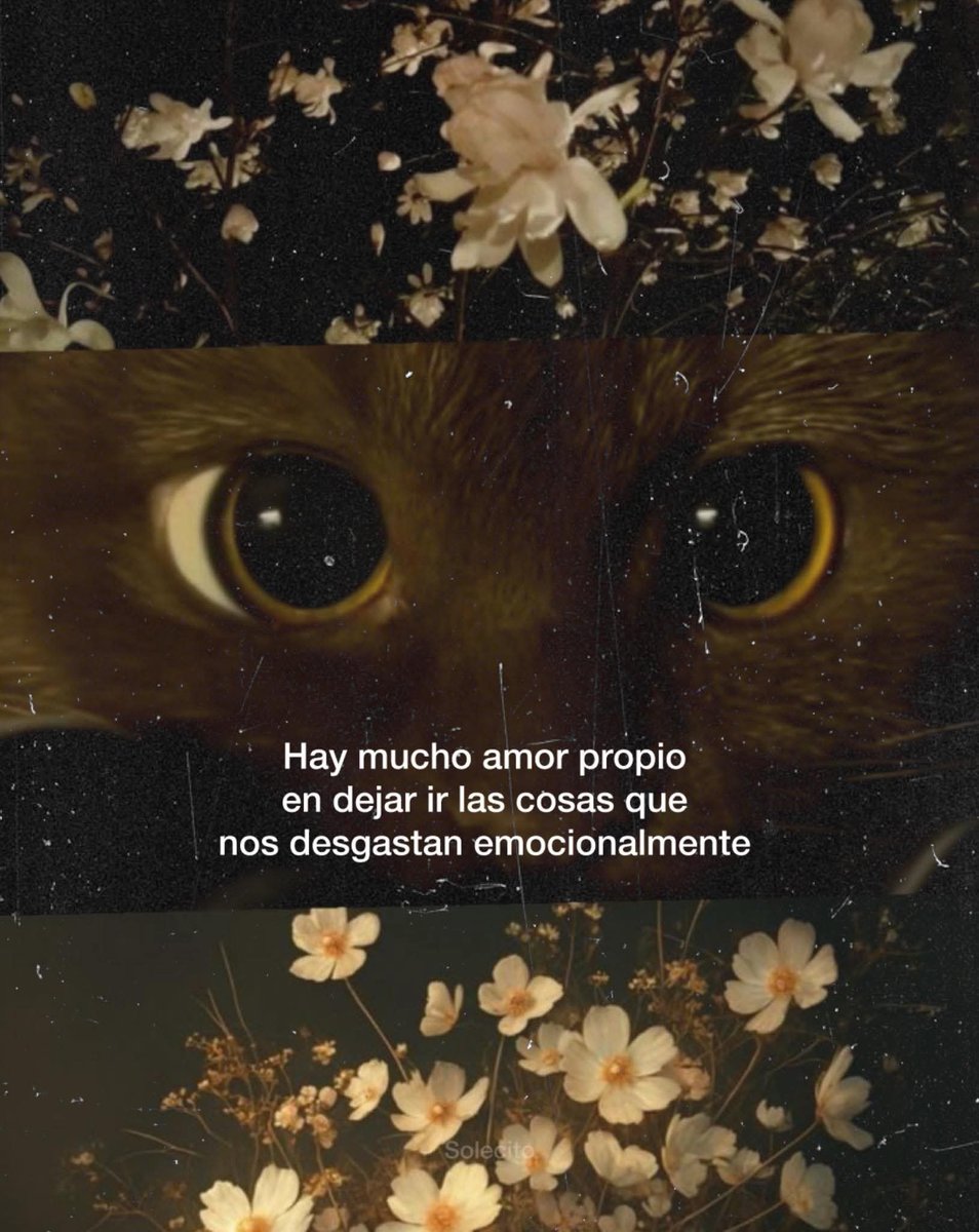 LetrasVirales's tweet photo. https://t.co/HXg30KjT88