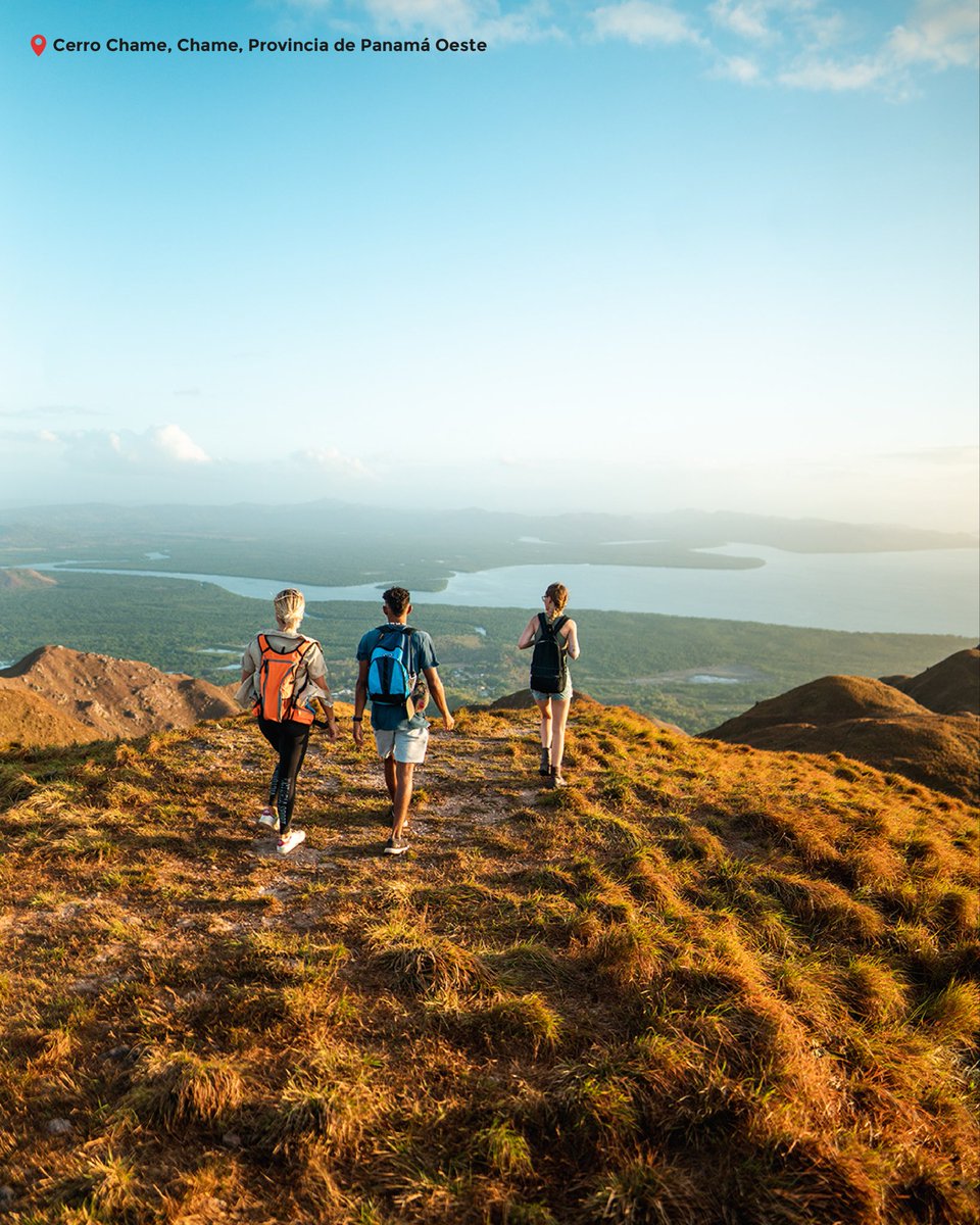 Embajada de Panamá en Canadá tweet media