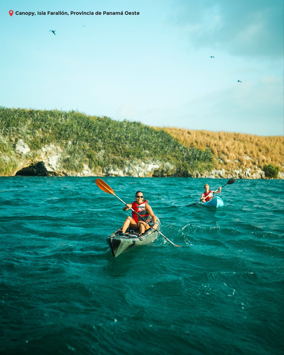 Embajada de Panamá en Canadá tweet media