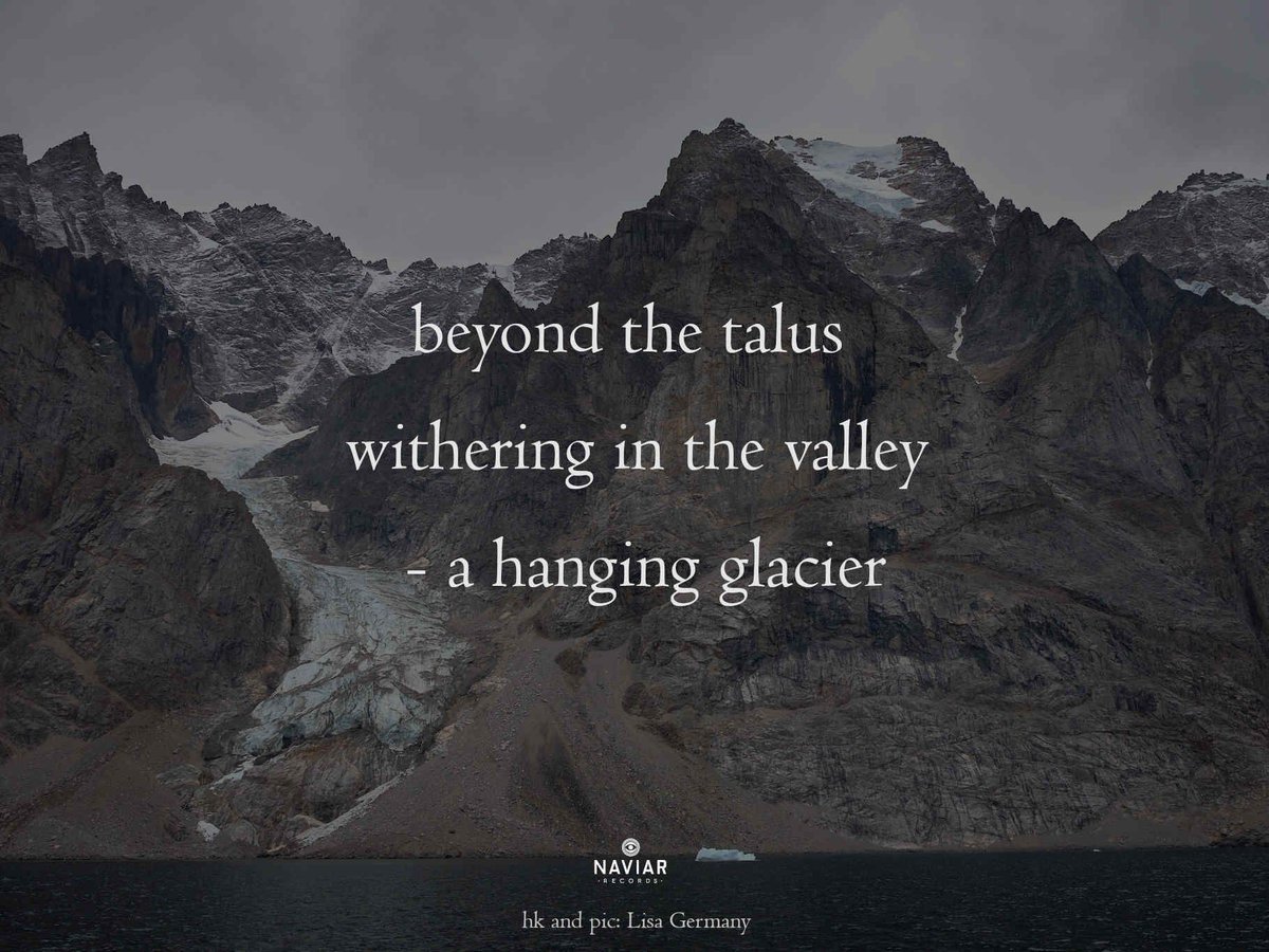 Naviar Records tweet media