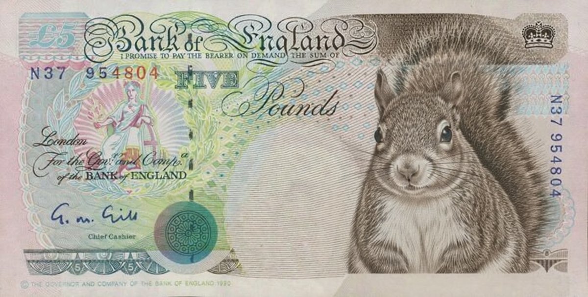 Dr Mariana Claire Marinovic 🏴󠁧󠁢󠁥󠁮󠁧󠁿🇮🇲 tweet media