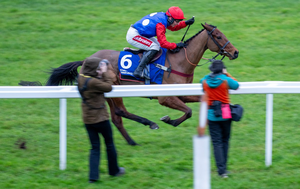 Weekender tweet media