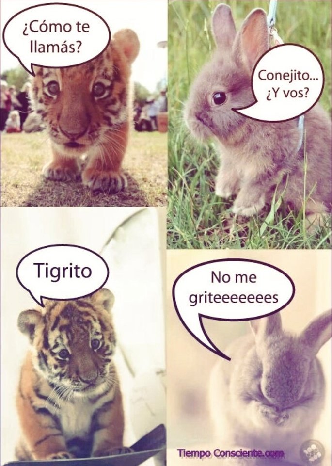 jorge (@juliaminegirl0) on Twitter photo 