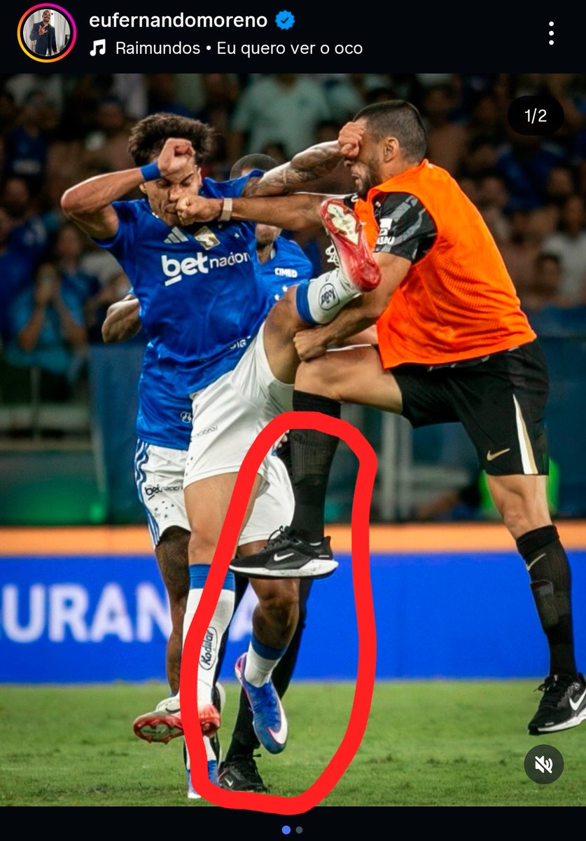 MagnusCk tweet media