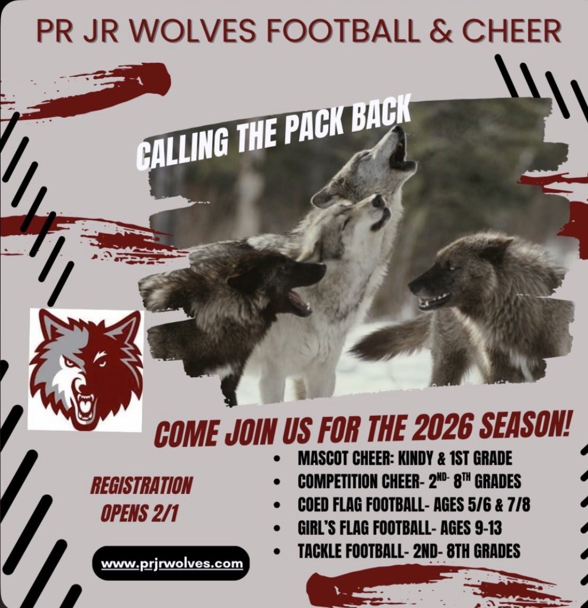 JR Wolves Football and Cheer tweet media