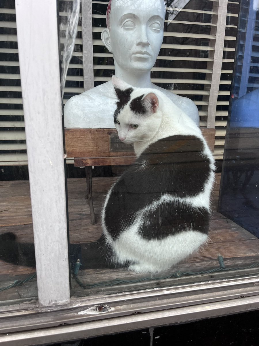 Thirty West tweet media