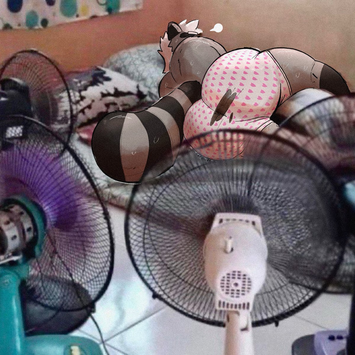 (=w=) @wonderpuff.bsky.social (3/3) tweet media