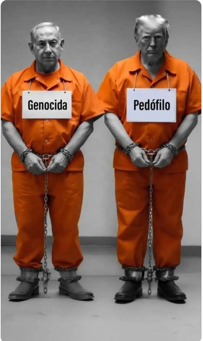 Milton Ribeiro 🚩 tweet media