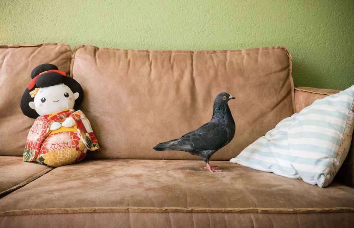 robotbackwards tweet media