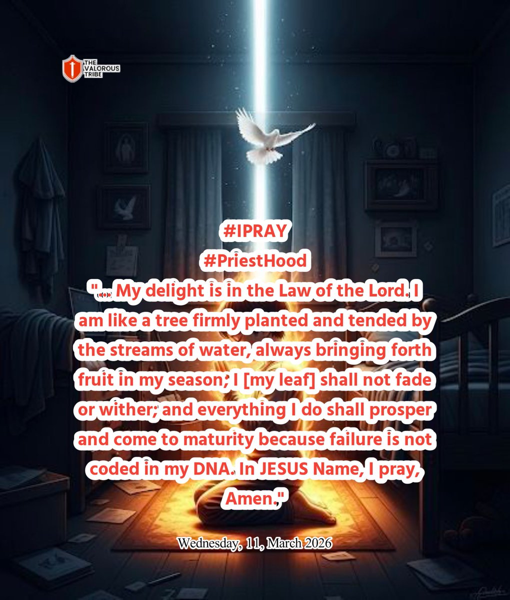 Valorous Tribe tweet media