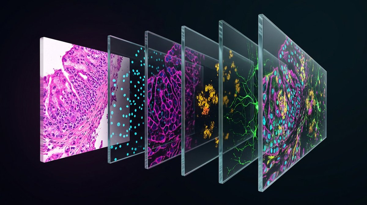 Strand AI tweet media