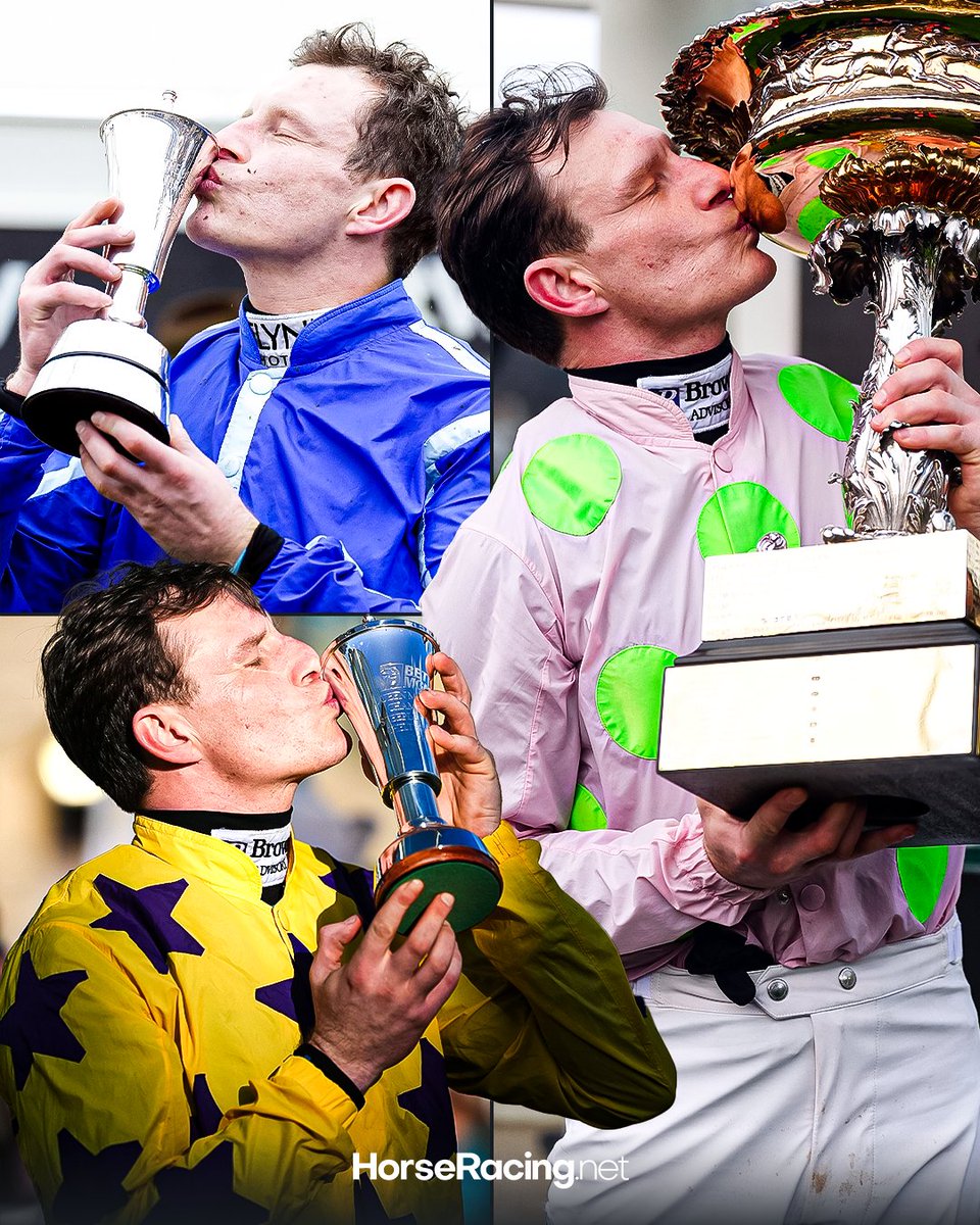 HorseRacing.net tweet media